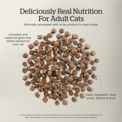 Now Fresh Grain Free Adult recipe with Turkey, Salmon, &amp; Duck for Cats
