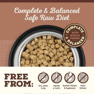 Primal Freeze Dried Raw Pronto Pork Recipe 25oz