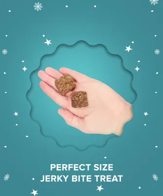 Plato Pet Treats Holiday Feast Duck With Cranberry Jerky 113g