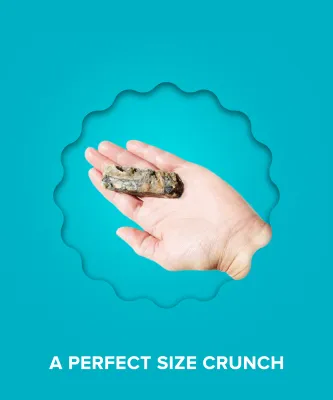 Plato Pet Treats Hundur's Crunch Jerky Fingers