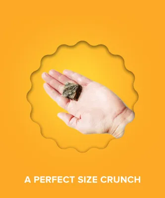 Plato Pet Treats Hundur's Crunch Jerky Minis