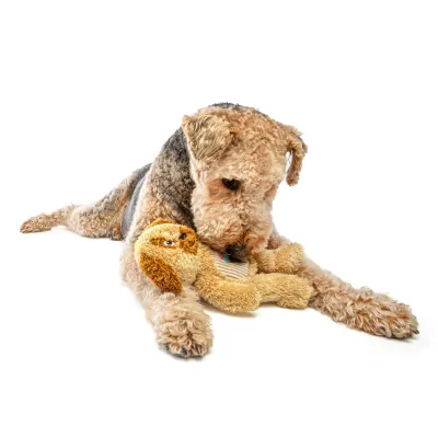 GURU Soft Scents Dog Dog Toy