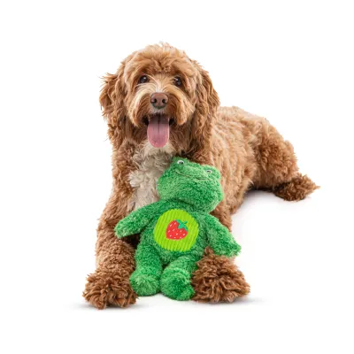 GURU Soft Scents Frog Dog Toy