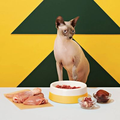 Bold by Nature Chicken Patties for Cats 3lb