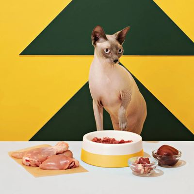 Bold by Nature Rabbit Patties Cat 3lb