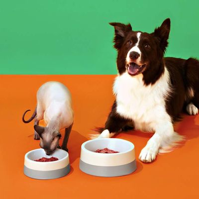Bold by Nature Raw Fish Toppers for Dogs &amp; Cats 3 lb