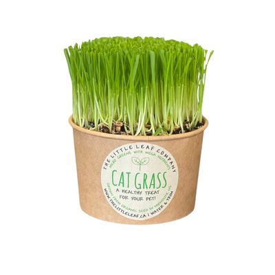 The Little Leaf Co All Natural Cat Grass