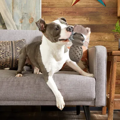 BARK P.B. Beaver Dog Chew Toy