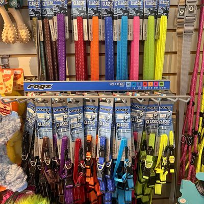 Leashes, Collars &amp; Accessories