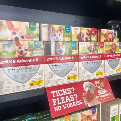 Flea &amp; Tick Prevention