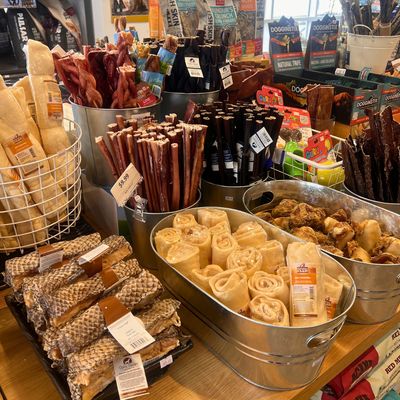 Bones, Bully Sticks &amp; Chews