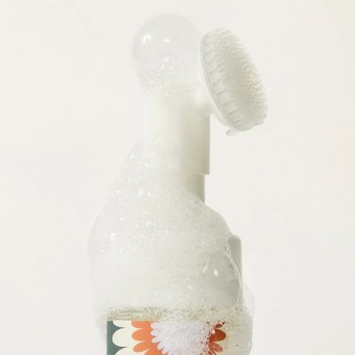 Dandylion Clean Paws No-Rinse Foaming Cleanser
