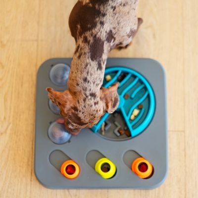Messy Mutts Flip'n Slide Puzzler Medium Dog Puzzle 12.5" x 12.5"
