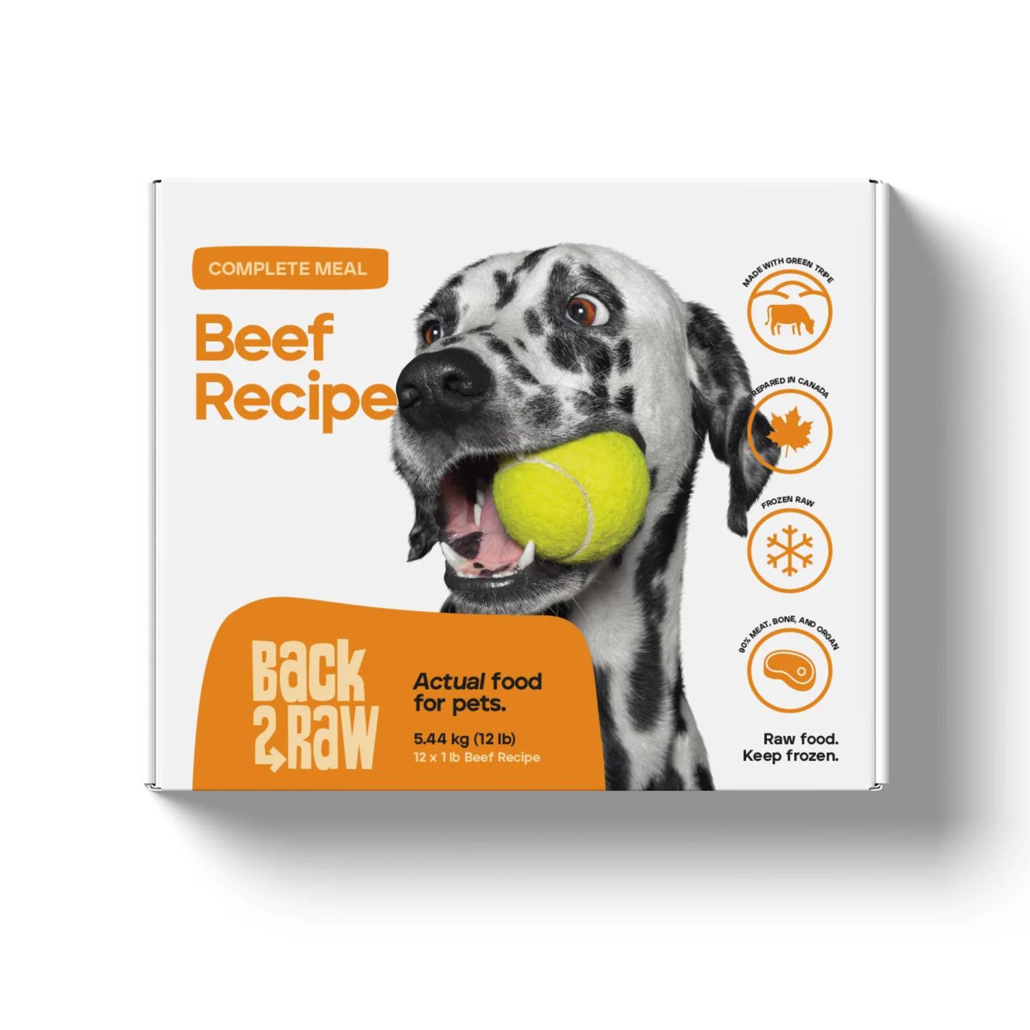 Back2Raw Complete Beef Recipe Frozen Raw Dog Food 12lb