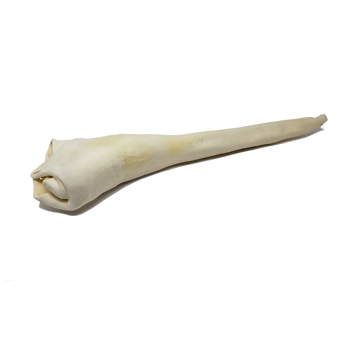 Open Range Bull Tail Full Length 1pc