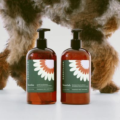 Dandylion Nourish Gentle Hydrating Dog Conditioner