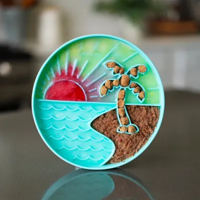 Messy Mutts Silicone Interactive Slow Feeding Bowl - Beach Teal 8"