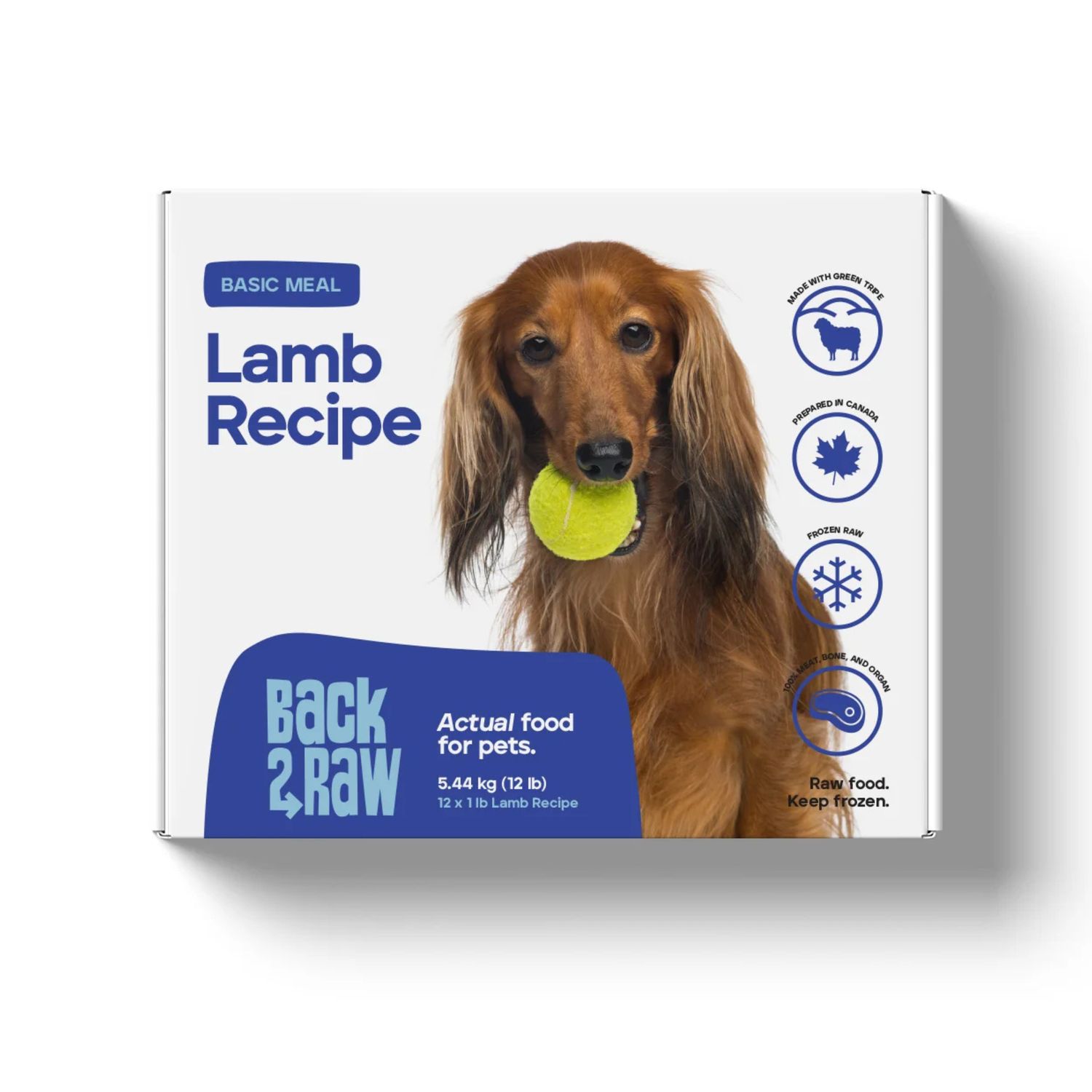 Back2Raw Basics Lamb Recipe Frozen Raw Dog Food 12lb