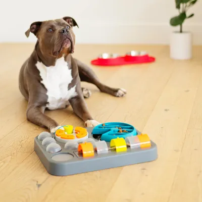 Messy Mutts Flip'n Slide Puzzler Large Dog Puzzle 16.5" x 13"