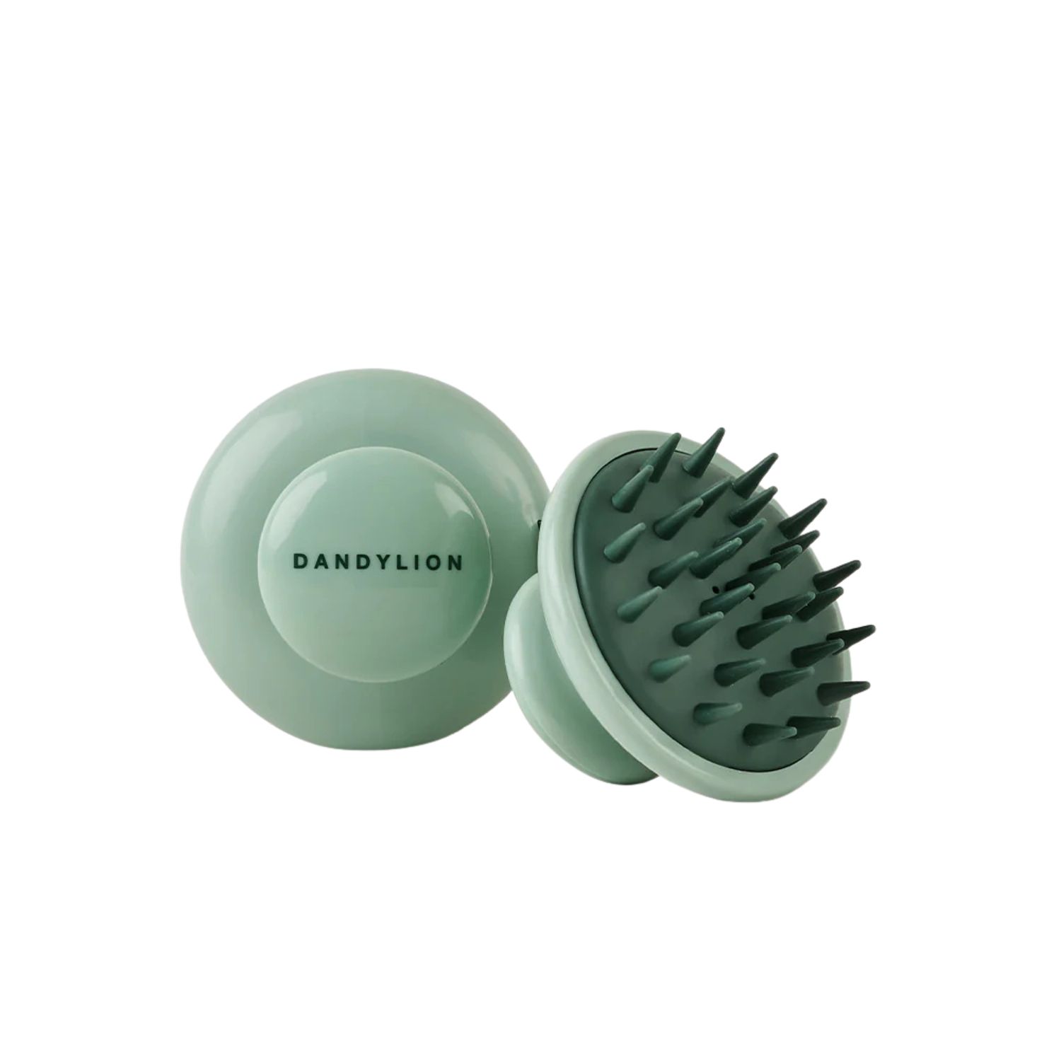 Dandylion Scrub Brush