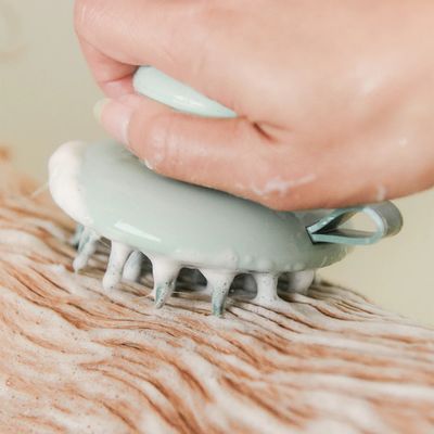 Dandylion Scrub Brush