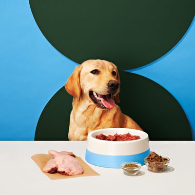 Bold by Nature Mega Non-Chicken Variety Box Frozen Dog Food 24 lb
