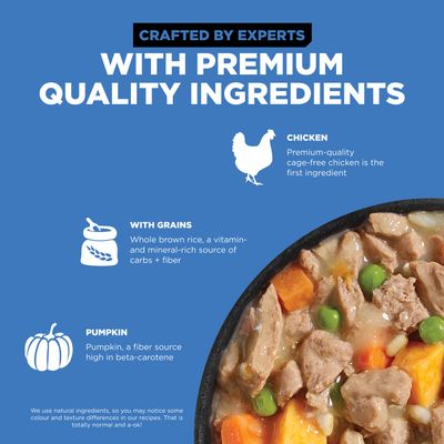 Go! Solutions Skin + Coat Care Shredded Chicken Recipe With Grains for dogs 12.5oz