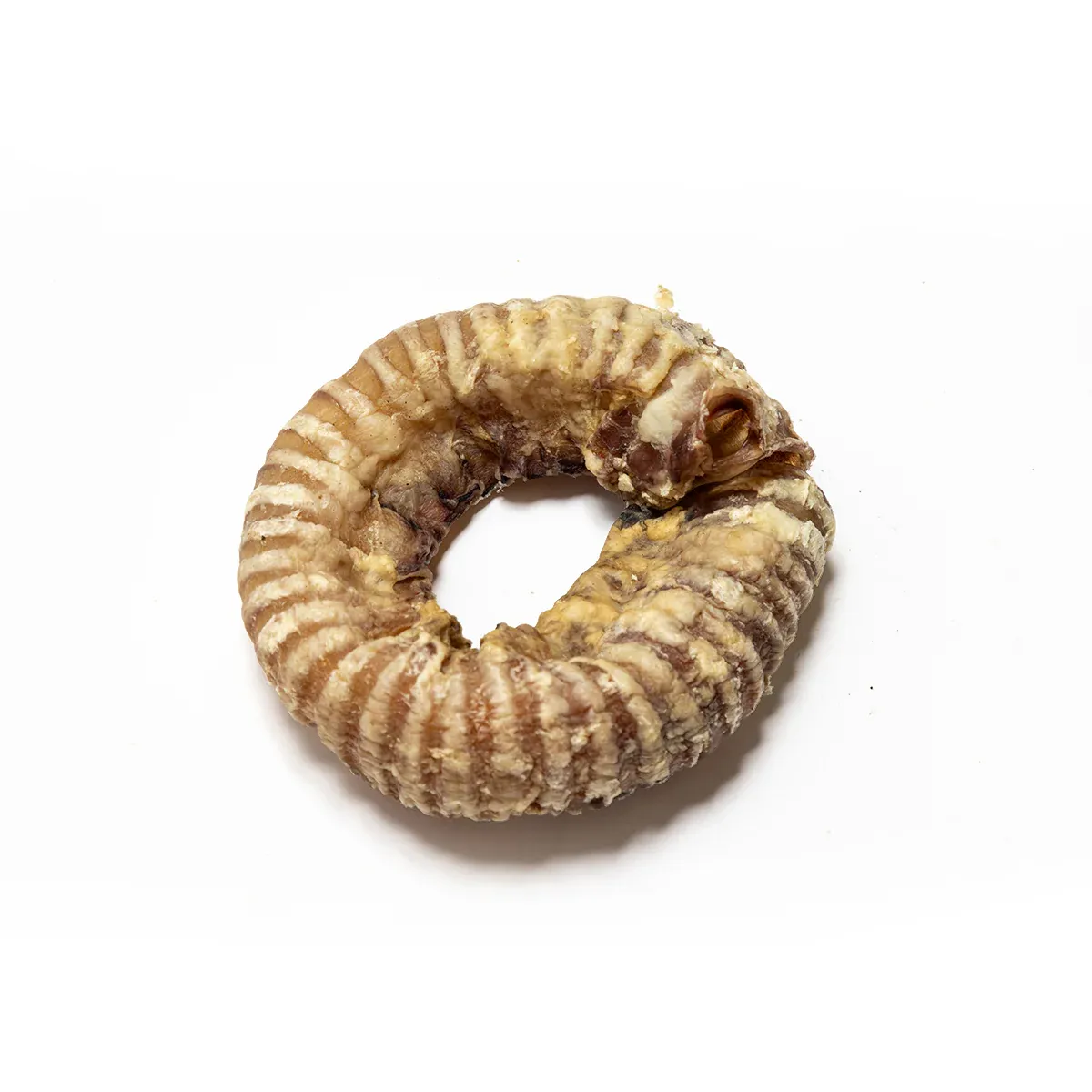 Cal Premium Beef Trachea Ring 4-5" 1pc