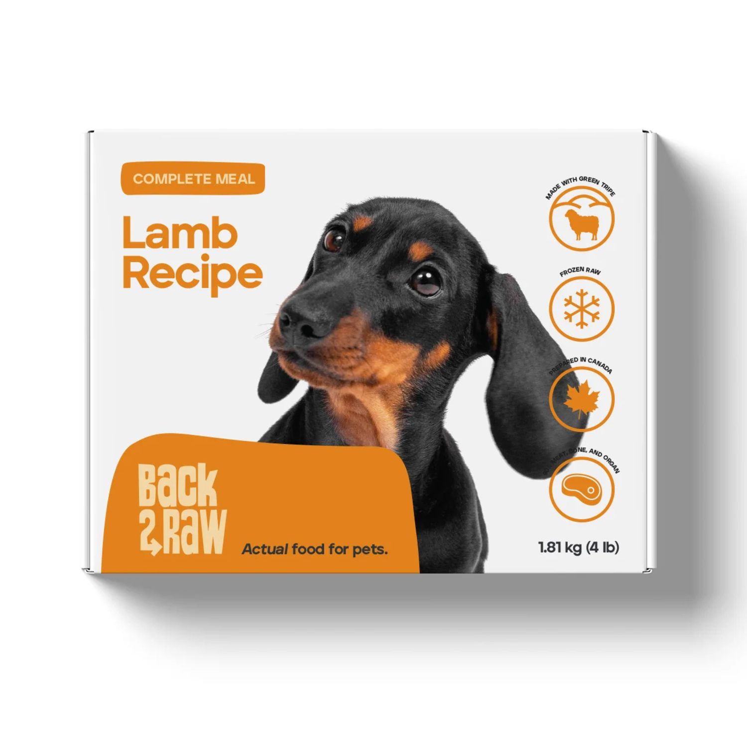 Back2Raw Complete Lamb Recipe Frozen Raw Dog Food 4lbs