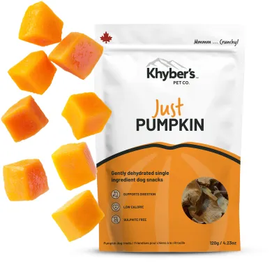 Khyber's Pet Co Just Pumpkin