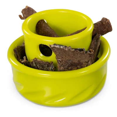 Totally Pooched by Messy Mutts Puzzle'n Play Mushroom Dog Toy Green