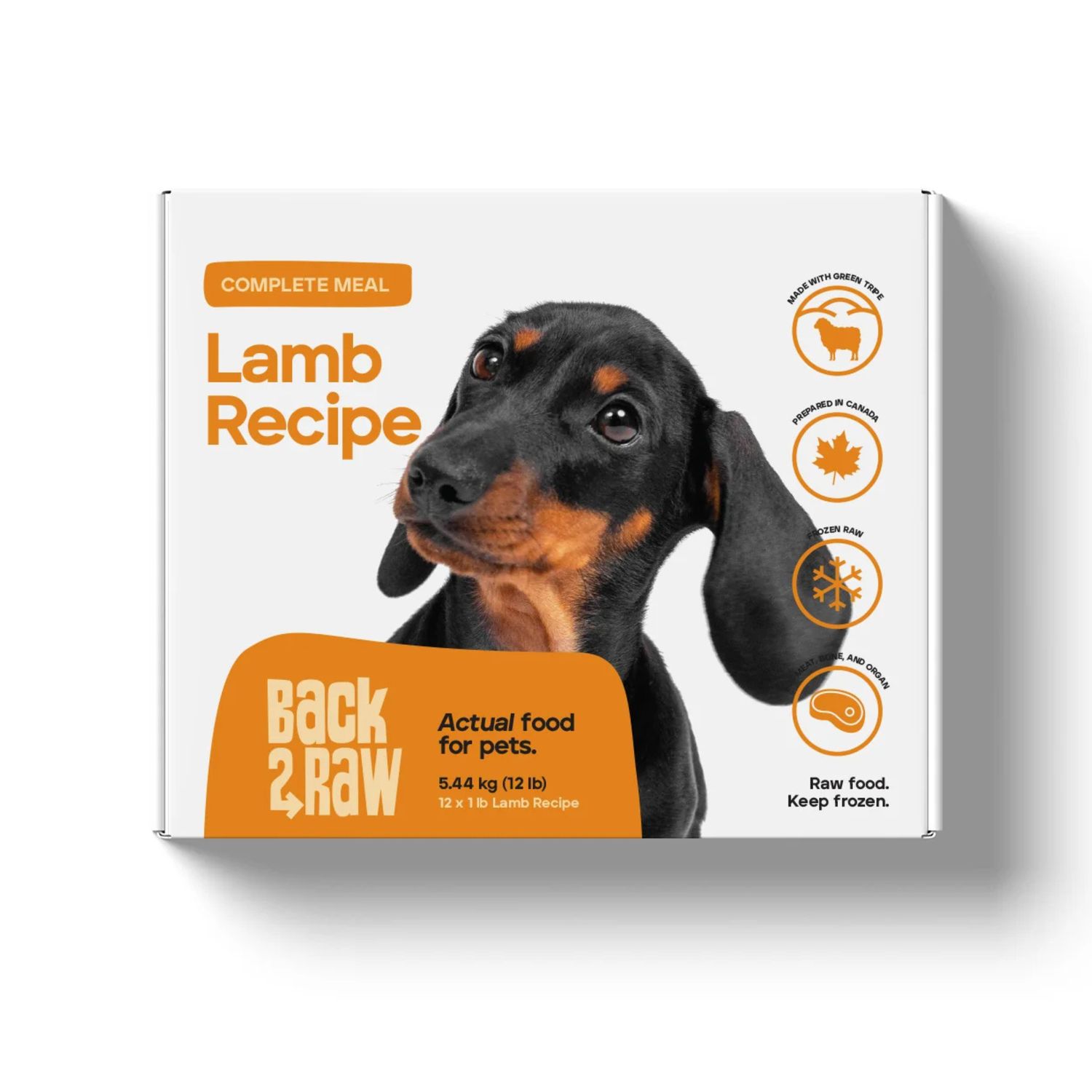 Back2Raw Complete Lamb Recipe Frozen Raw Dog Food 12lb
