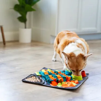 Messy Mutts Square Forage/Snuffle Mat plus Lick Mat 16" x 16"