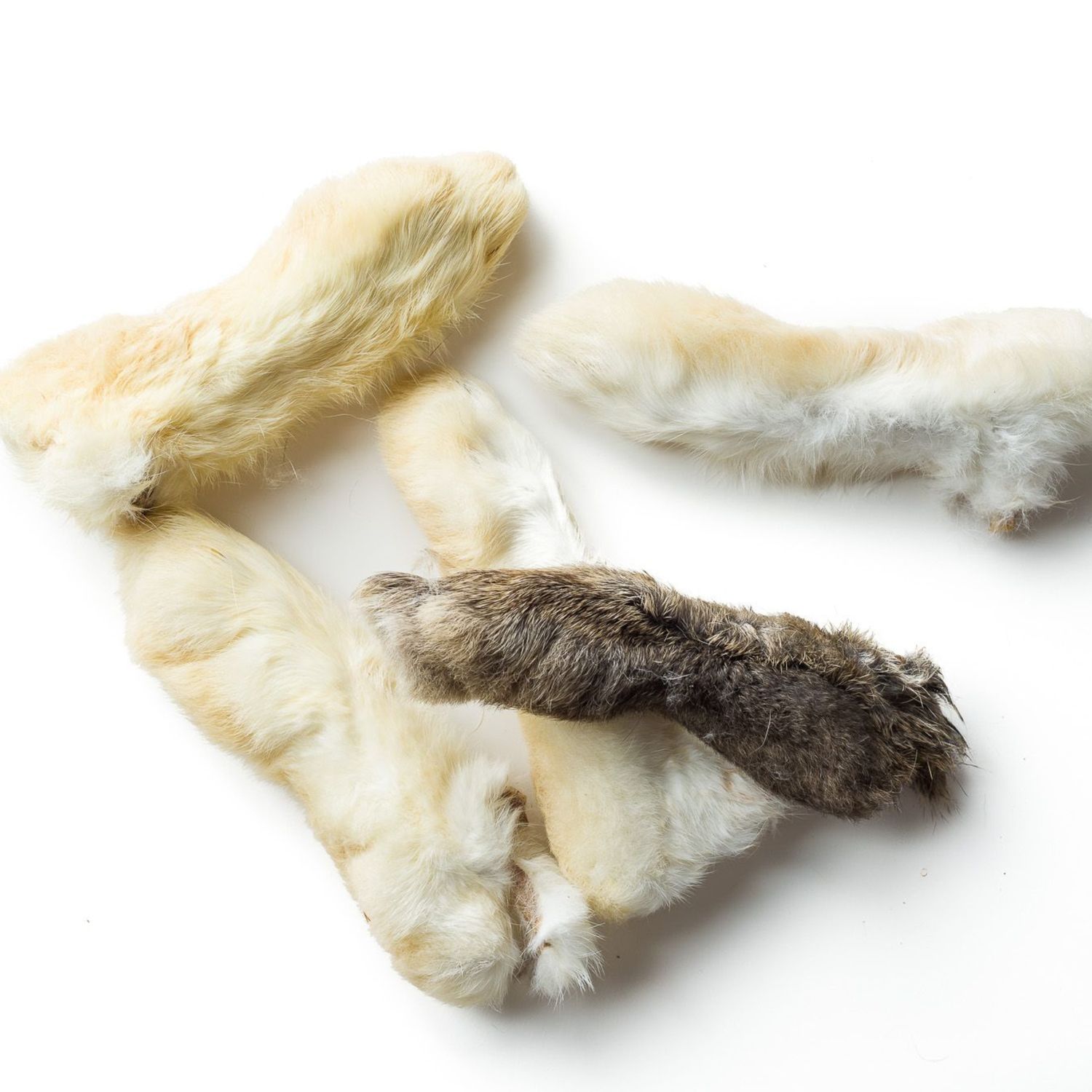 Dehydrated Rabbit Feet 4-9" 1pc