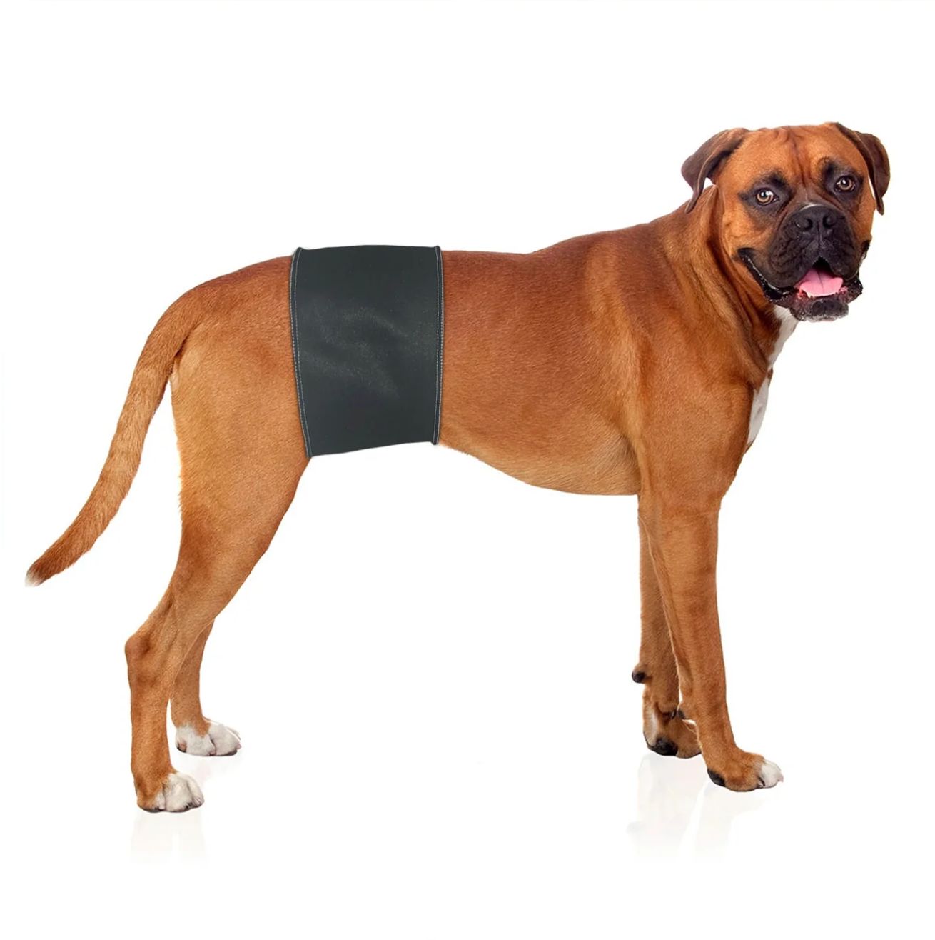 Jack &amp; Jill Male Belly Band Black