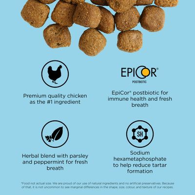 Go! Solutions ​Dental + Immune Health Chicken + Salmon Recipe with Grains for dogs