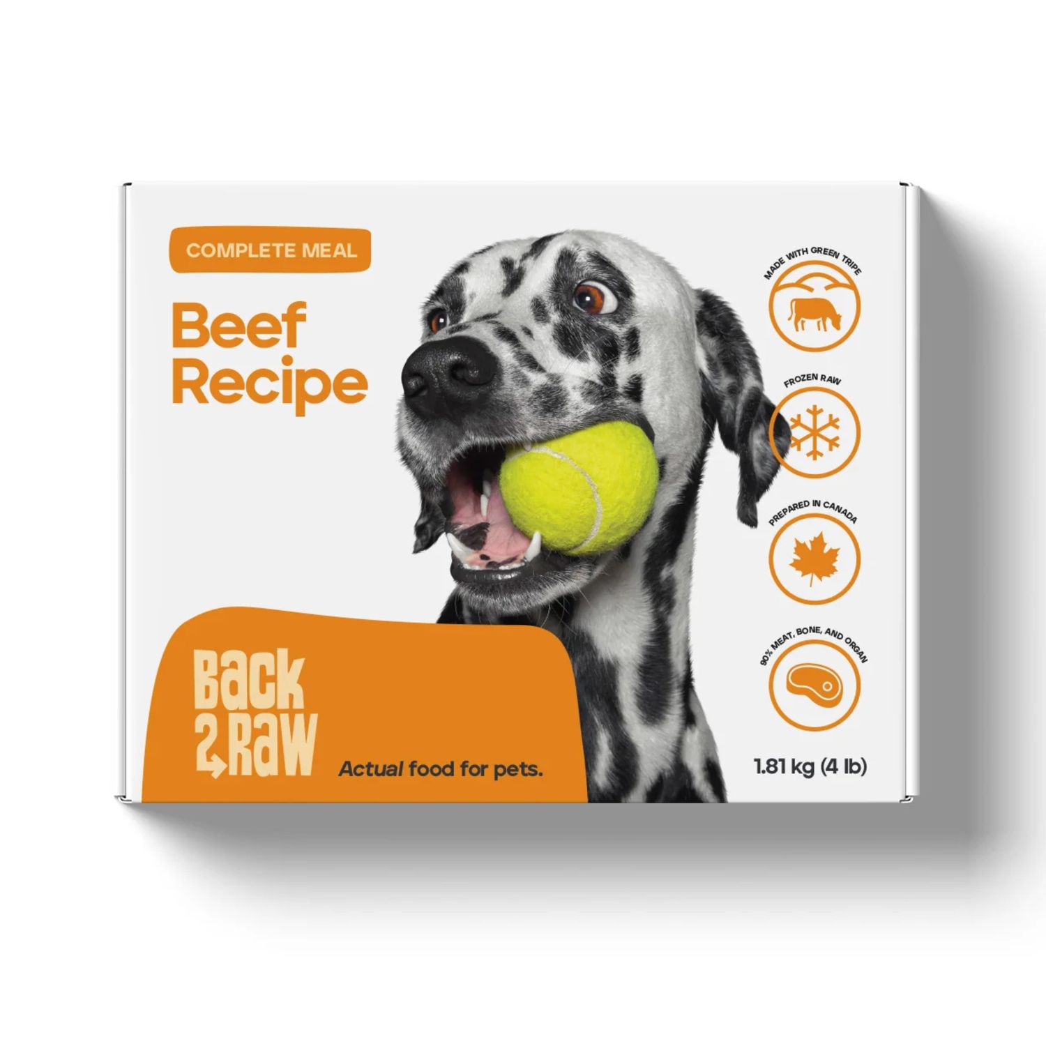 Back2Raw Complete Beef Recipe Frozen Raw Dog Food 4lbs