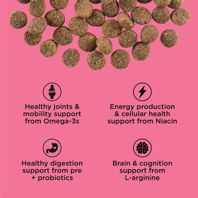 Go! Solutions Healthy Aging Salmon + Duck Recipe with Grains for dogs