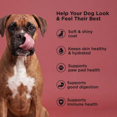 Go! Solutions Skin + Coat Care Beef Recipe with Grains for dogs