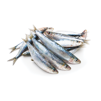 Iron Will Raw Sardines Frozen Dog Treat 1lb
