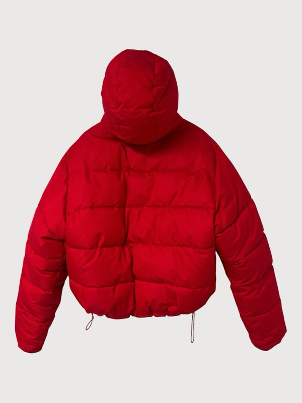 Balenciaga by Demna Gvasalia FW2018 Ski Collection Hooded Puffer Jacket