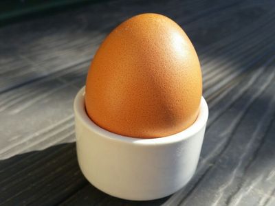 Eierbecher Porzellan