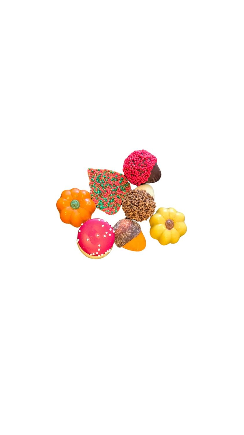Herfst chocola, Welk gewicht mogen wij voor u versturen?: 100 gram