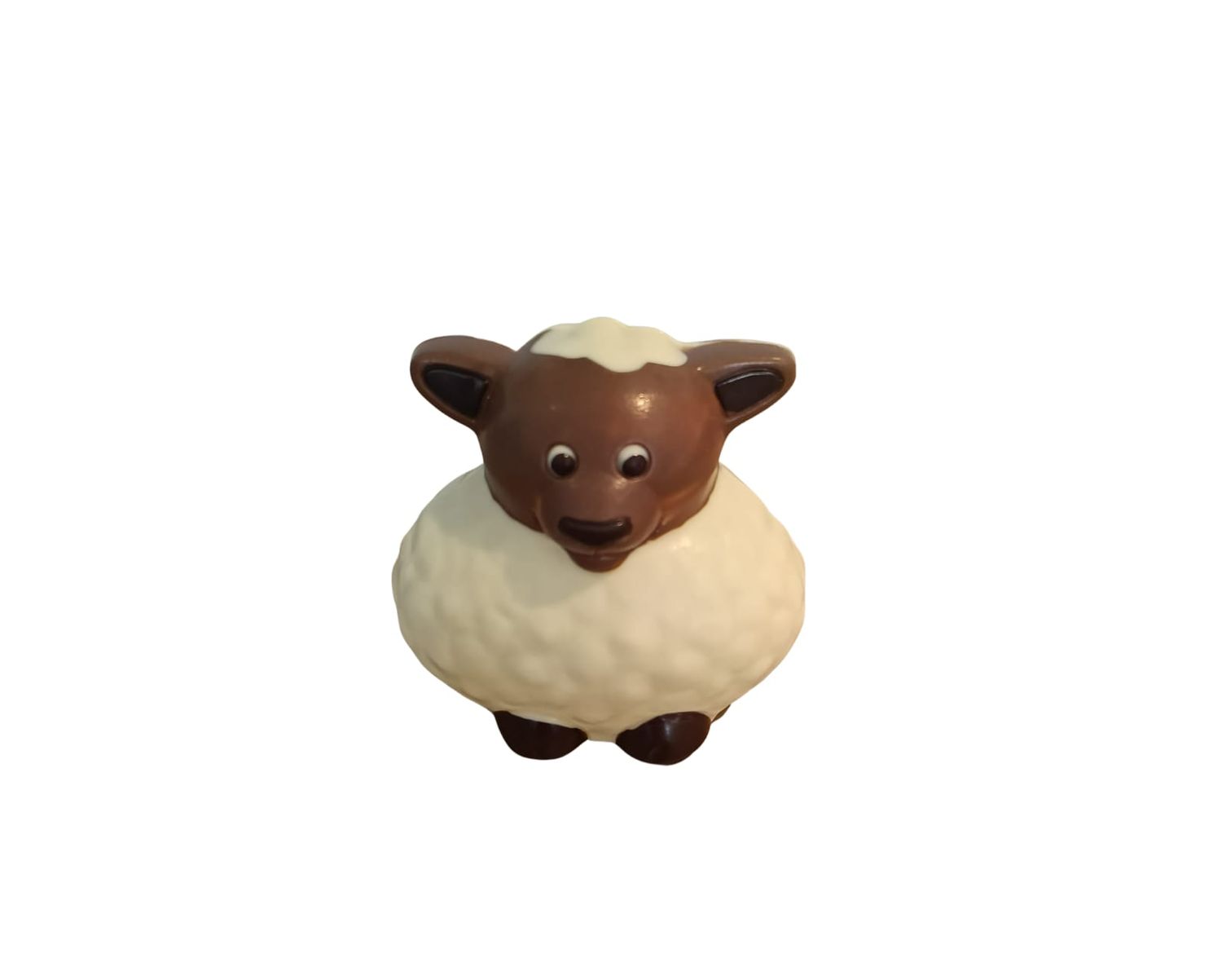 Schaap