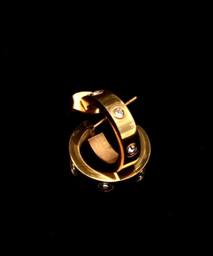 Precious little diamond Earrings