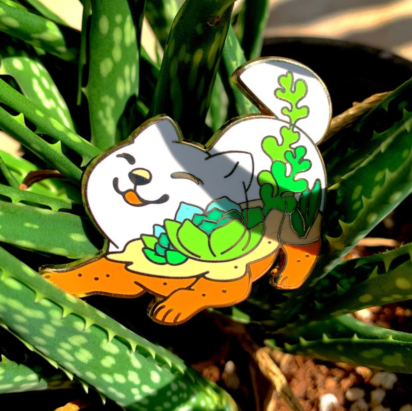 Succulent Dog