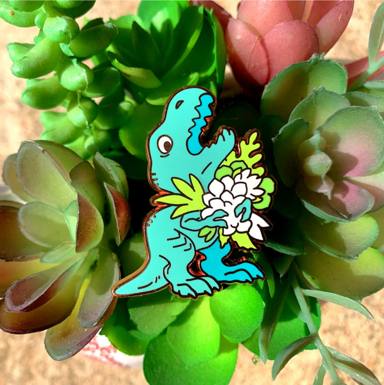 Succulent Rex