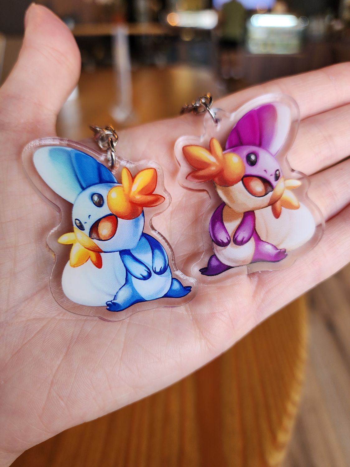 Pocket Monster | Mudkip Charm