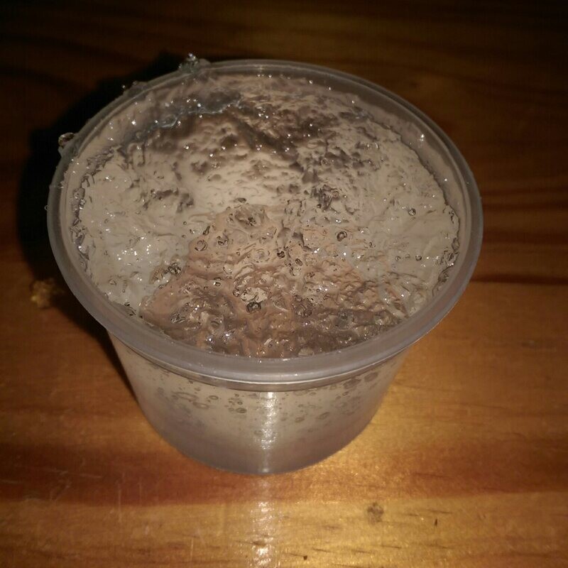 Water Gel for Roaches &amp; Crickets