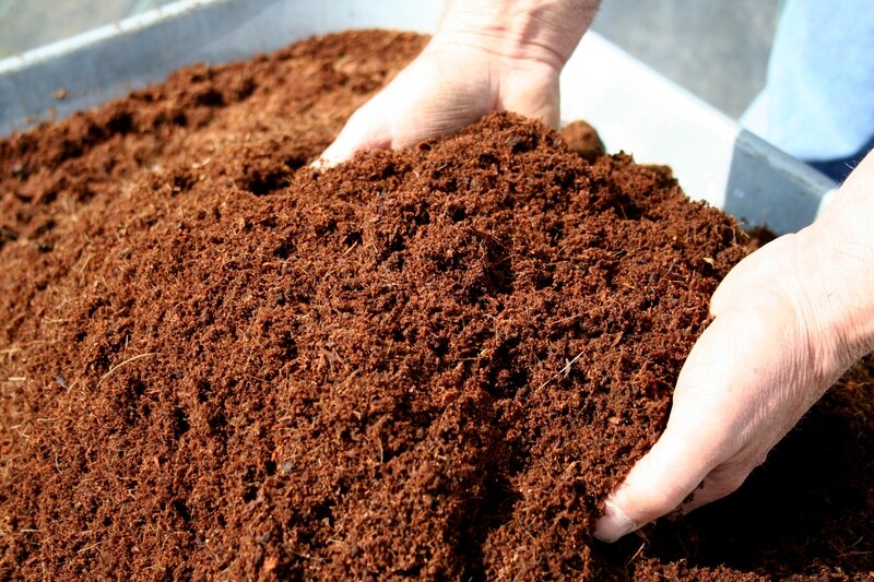 Spider Peat  - 1KG